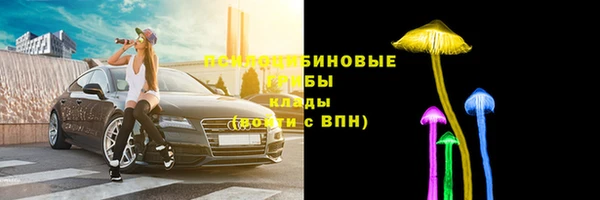 ПСИЛОЦИБИНОВЫЕ ГРИБЫ Осташков