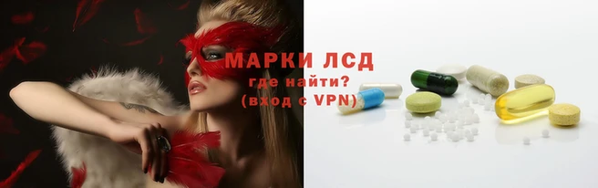 ПСИЛОЦИБИНОВЫЕ ГРИБЫ Осташков
