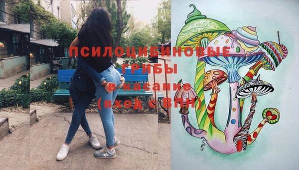 ПСИЛОЦИБИНОВЫЕ ГРИБЫ Осташков