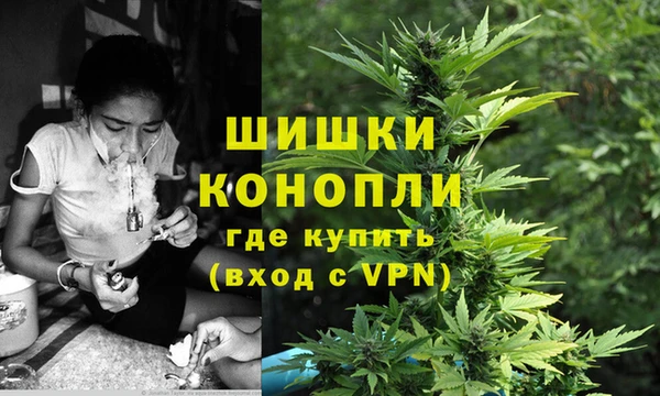 ПСИЛОЦИБИНОВЫЕ ГРИБЫ Осташков