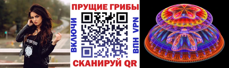 Галлюциногенные грибы прущие грибы Кочубеевское