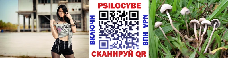 купить наркотик  Кочубеевское  Галлюциногенные грибы мицелий 